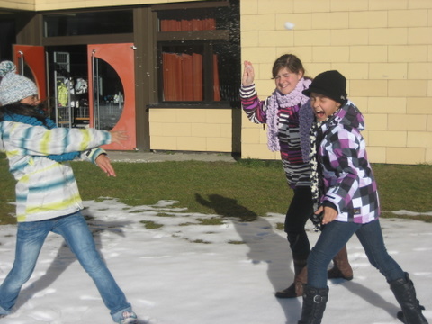 Bild 8