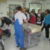 2007-08 &raquo; 2007-08 &raquo; MotorenPhysik3a