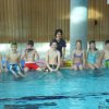 schwimmer004