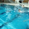 schwimmer006