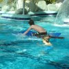 schwimmer013