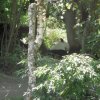 wien2014048