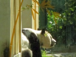 wien2014050