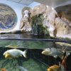 wien_4c045