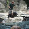 wien_4c161