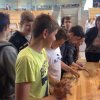 berufsfestival14