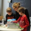 klimaschule44