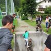 bundesheer40
