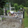 bundesheer41