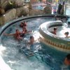 schwimmwoche26