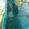 schwimmwoche41
