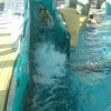 schwimmwoche42