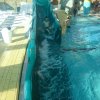 schwimmwoche44