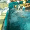 schwimmwoche47