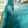 schwimmwoche48