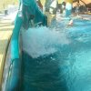schwimmwoche51