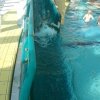 schwimmwoche56
