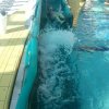 schwimmwoche58