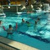 schwimmwoche67