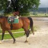 sommersportwoche277