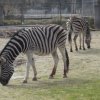 wienwoche071