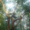 wienwoche300