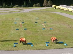 Biathlon