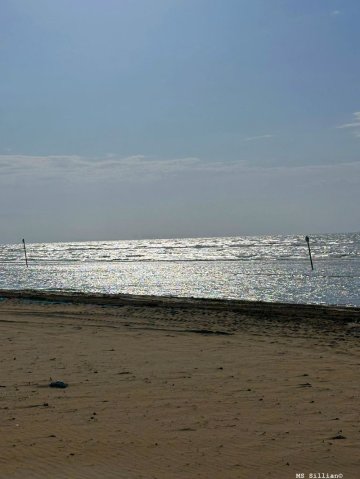 sport_sprachwoche_114