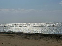 sport_sprachwoche_114
