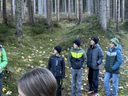 wald_02