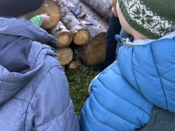 wald_03