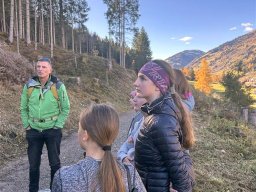 wald_04