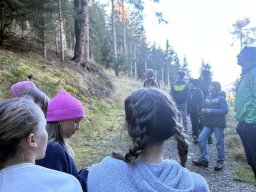 wald_06